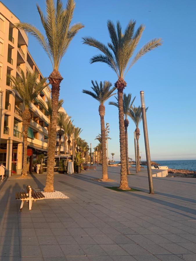 Apartament Montana Torrevieja Eksteriør billede