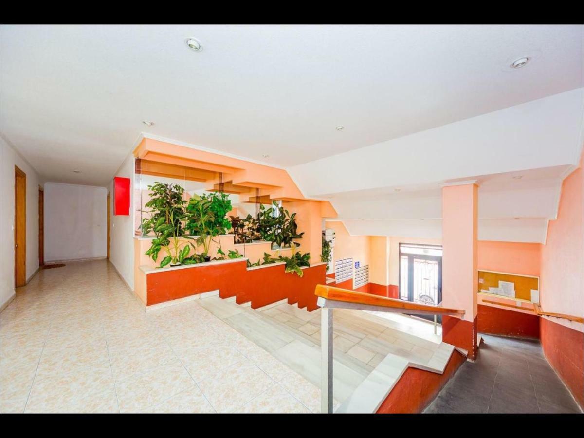 Apartament Montana Torrevieja Eksteriør billede